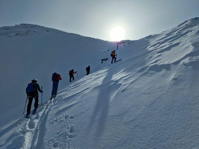 Cordée de skieurs de randonnée à contre-jour dans la montée