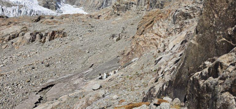 Moraine et dalles polies au pied du glacier de Frébouze, randonneurs en contrebas