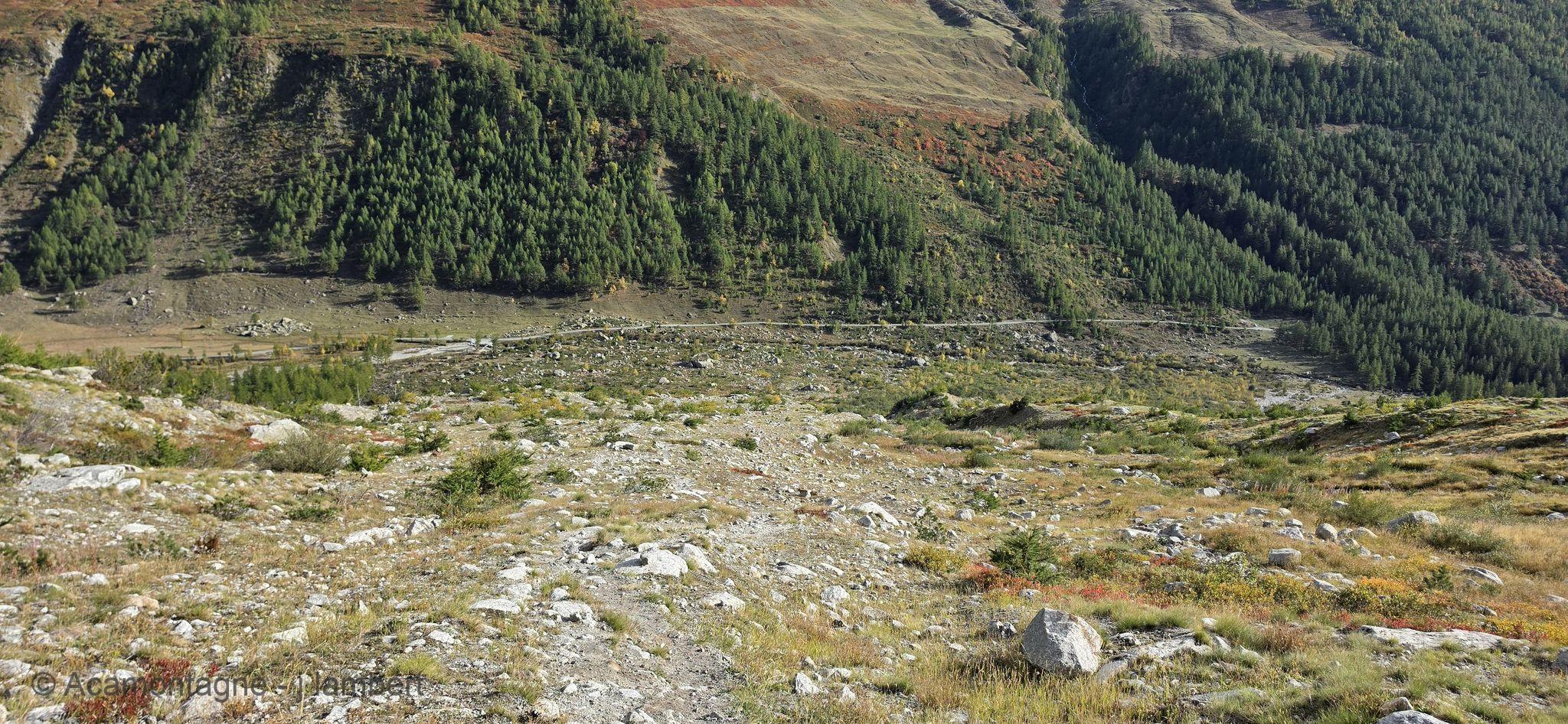 Retour dans les alpages et les forêts de mélèzes du Val Ferret en fin d'après-midi