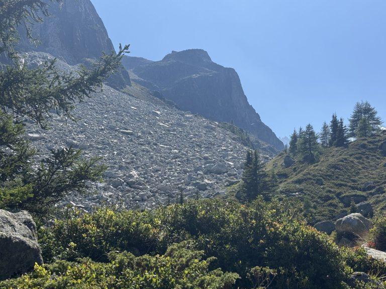 Pierrier et pins dans la descente, sous les parois rocheuses