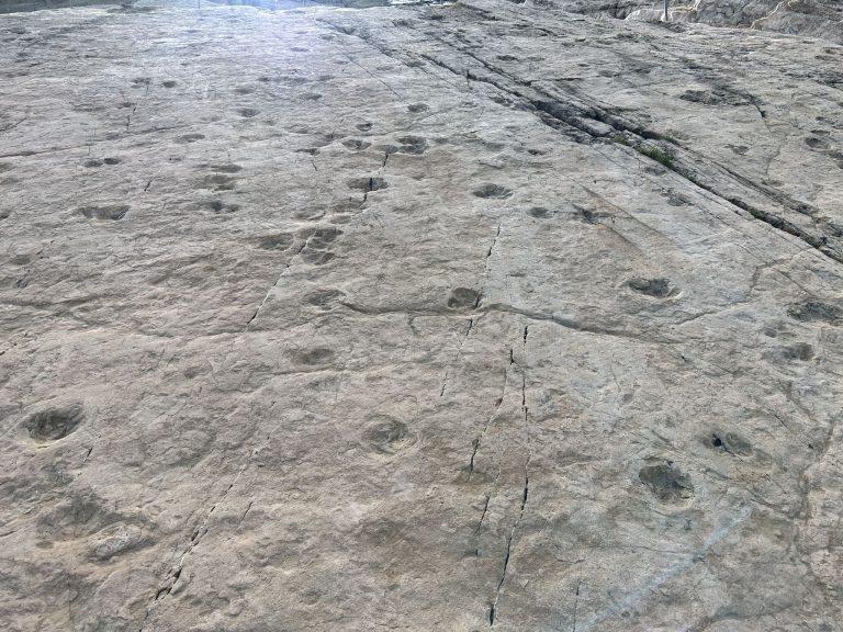 Dalle inclinée couverte d'empreintes de dinosaures, au-dessus du Vieux Émosson