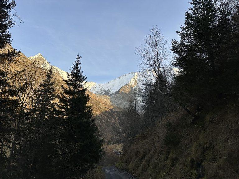 Piste en forêt, avec les sommets enneigés au fond du vallon de Miage