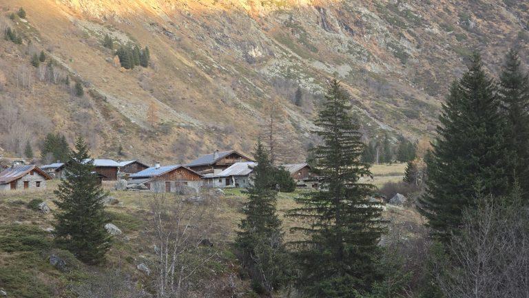 Le hameau des chalets de Miage au milieu des sapins, sous les versants d'automne